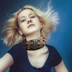 Burberry Paws Burberry Paws